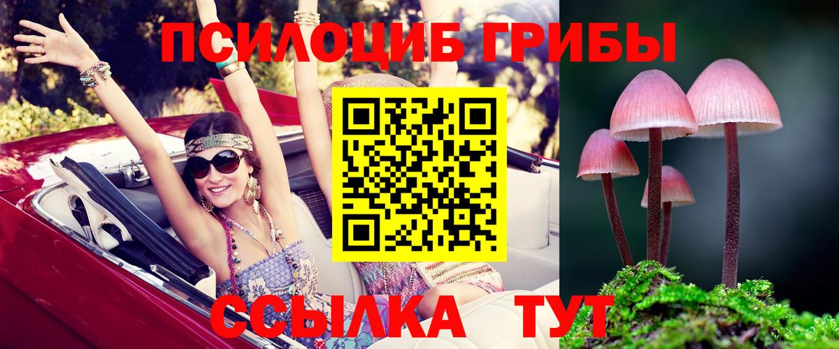 Псилоцибиновые грибы Magic Shrooms  Вход с VPN  Нальчик 